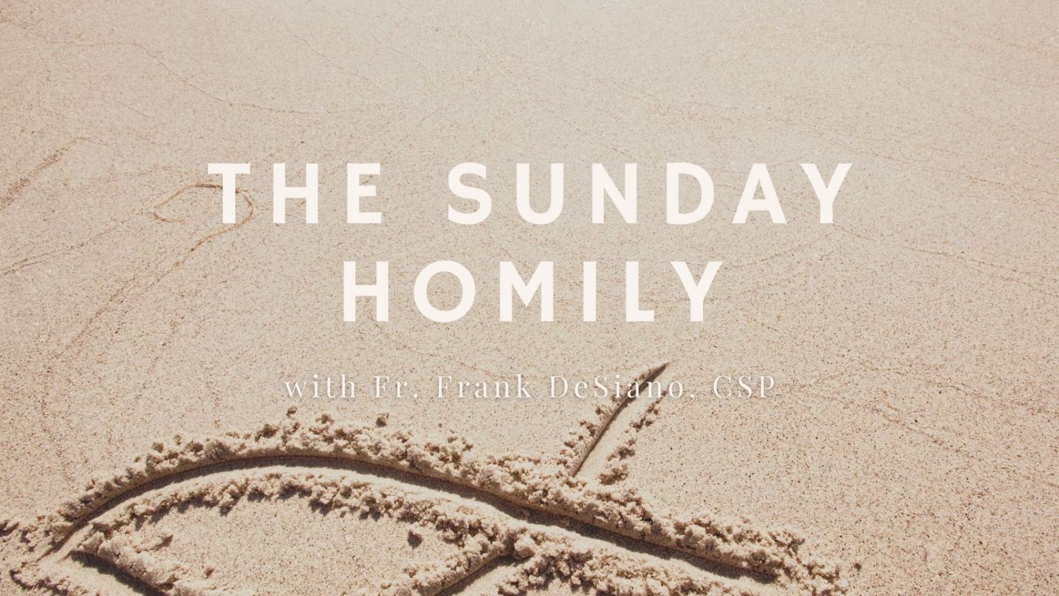 The Sunday Homily - Paulist Evangelization MinistriesPaulist ...